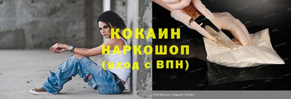 мдпв Няндома