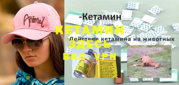 PSILOCYBIN Валуйки